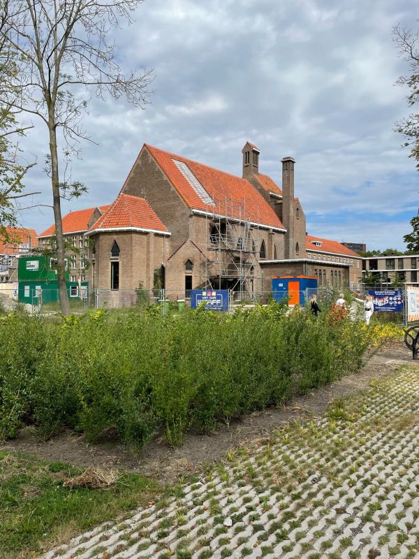 Brownies&downieS Hoorn Brownies&downieS Hoorn